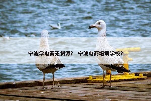 宁波学电商无货源？ 宁波电商培训学校？