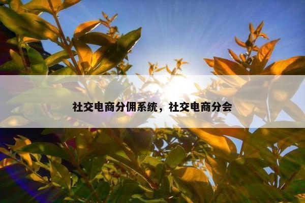 社交电商分佣系统，社交电商分会