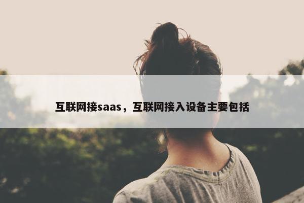互联网接saas，互联网接入设备主要包括