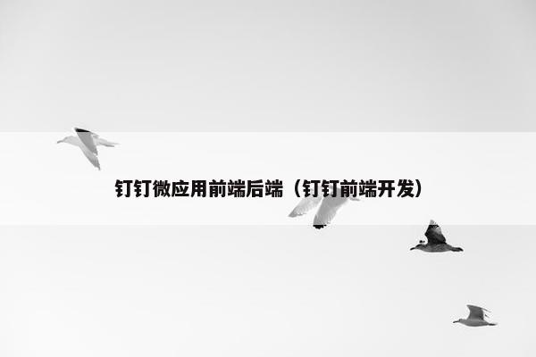 钉钉微应用前端后端（钉钉前端开发）