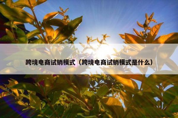 跨境电商试销模式（跨境电商试销模式是什么）