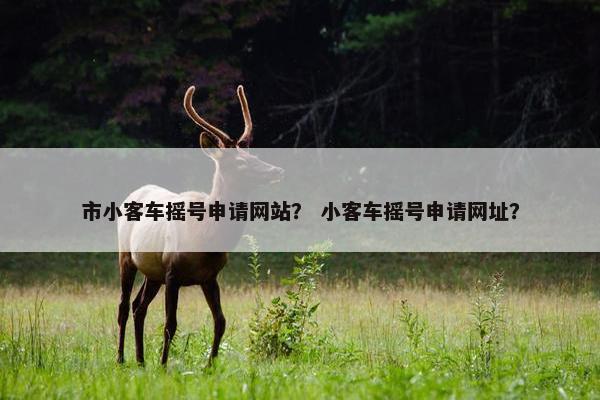 市小客车摇号申请网站？ 小客车摇号申请网址？