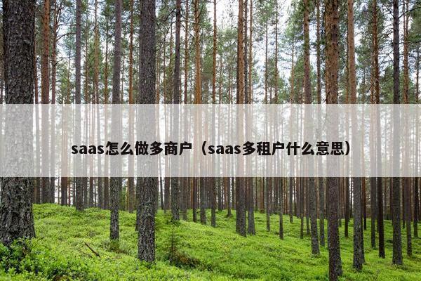saas怎么做多商户（saas多租户什么意思）