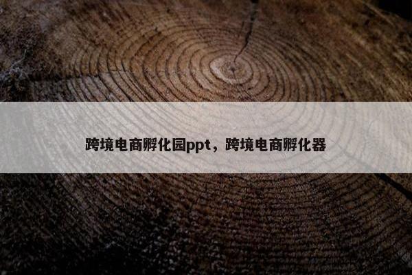 跨境电商孵化园ppt，跨境电商孵化器