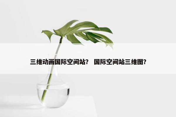 三维动画国际空间站？ 国际空间站三维图？