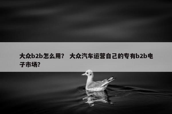 大众b2b怎么用？ 大众汽车运营自己的专有b2b电子市场？