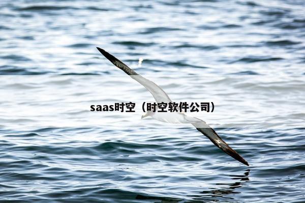 saas时空（时空软件公司）