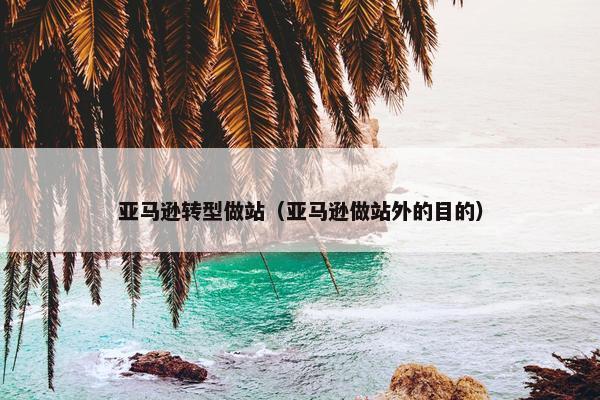 亚马逊转型做站（亚马逊做站外的目的）