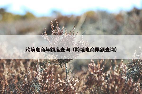 跨境电商年额度查询（跨境电商限额查询）