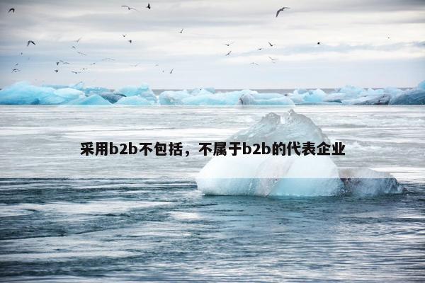 采用b2b不包括，不属于b2b的代表企业