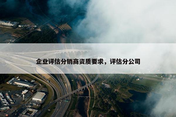 企业评估分销商资质要求，评估分公司