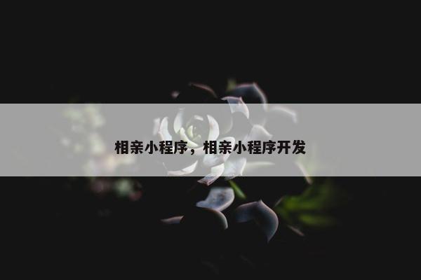 相亲小程序，相亲小程序开发