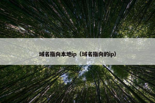 域名指向本地ip（域名指向的ip）