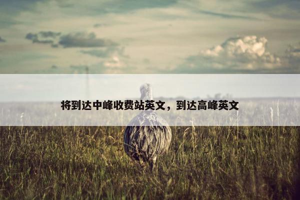 将到达中峰收费站英文，到达高峰英文