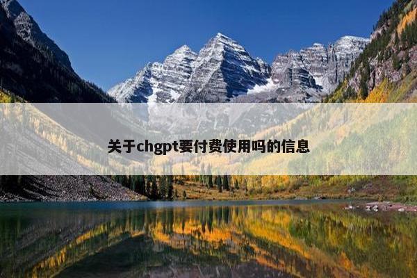 关于chgpt要付费使用吗的信息