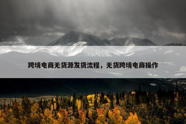 跨境电商无货源发货流程，无货跨境电商操作