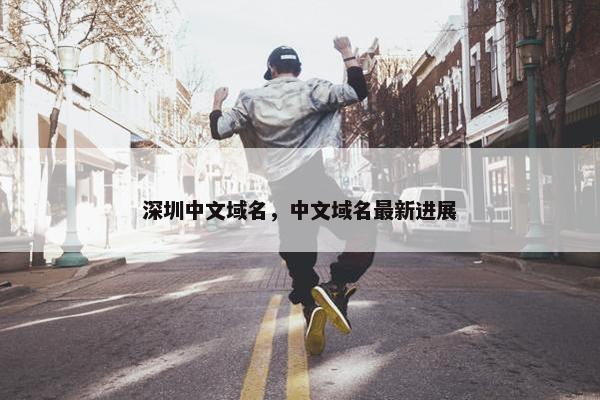 深圳中文域名，中文域名最新进展