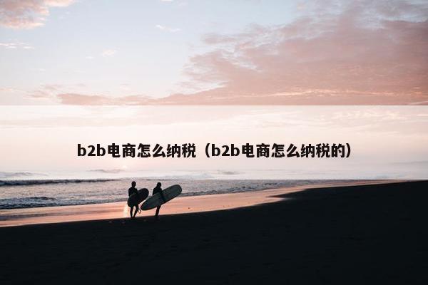 b2b电商怎么纳税（b2b电商怎么纳税的）