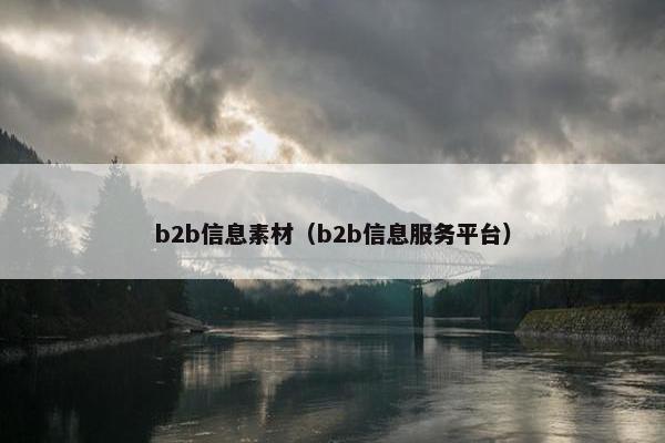 b2b信息素材（b2b信息服务平台）