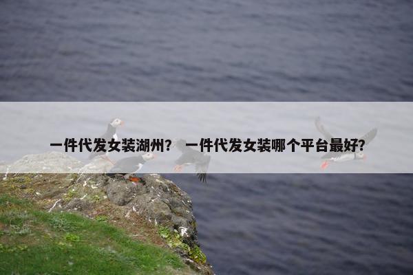 一件代发女装湖州？ 一件代发女装哪个平台最好？