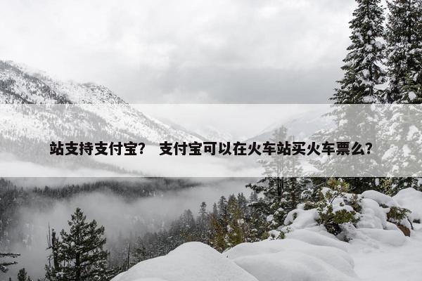 站支持支付宝？ 支付宝可以在火车站买火车票么？