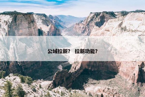 公域拉新？ 拉新功能？