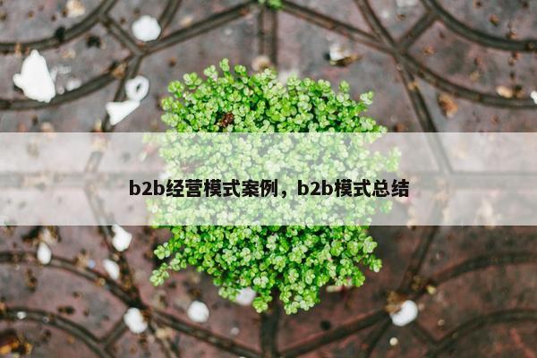 b2b经营模式案例，b2b模式总结