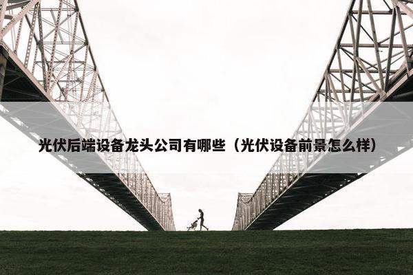 光伏后端设备龙头公司有哪些（光伏设备前景怎么样）