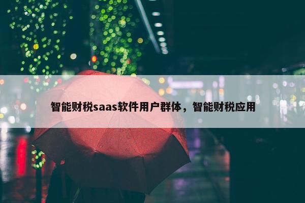 智能财税saas软件用户群体，智能财税应用