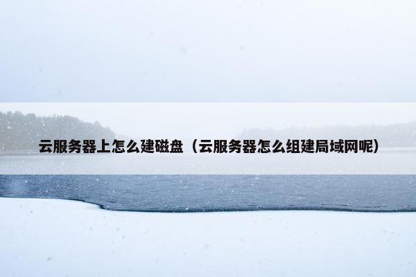 云服务器上怎么建磁盘（云服务器怎么组建局域网呢）