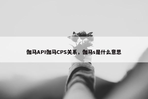 伽马API伽马CPS关系，伽马s是什么意思