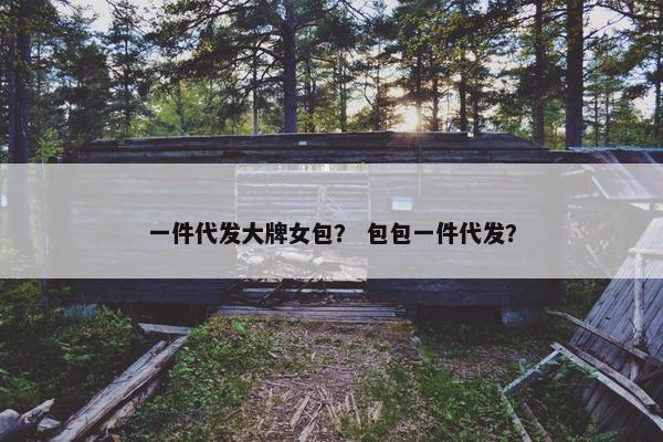 一件代发大牌女包？ 包包一件代发？