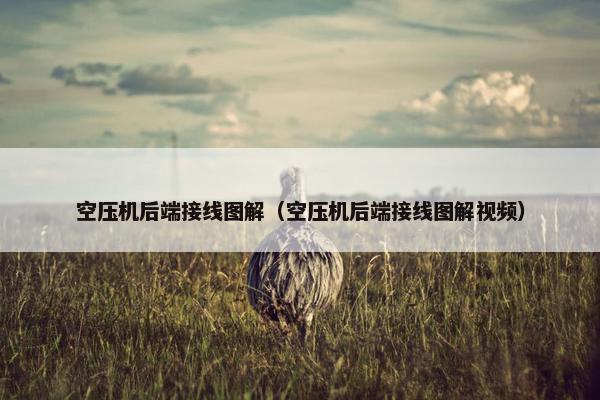 空压机后端接线图解（空压机后端接线图解视频）