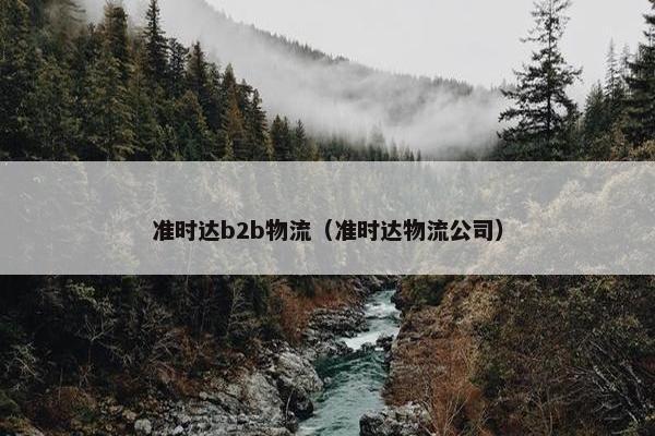 准时达b2b物流（准时达物流公司）