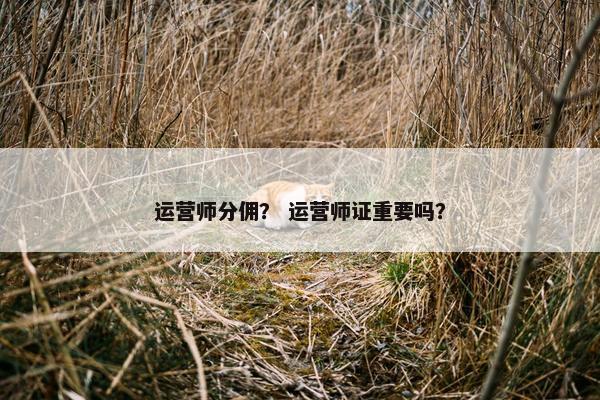 运营师分佣？ 运营师证重要吗？