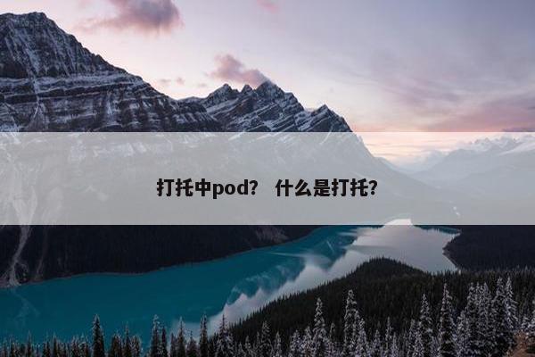 打托中pod？ 什么是打托？