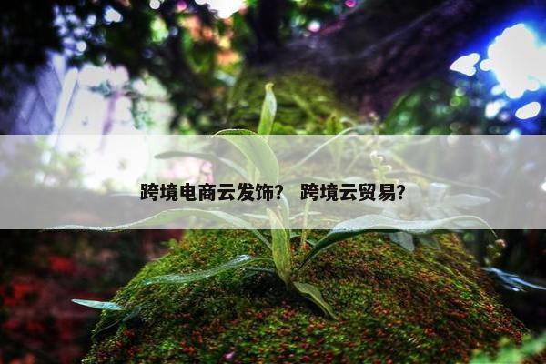 跨境电商云发饰？ 跨境云贸易？
