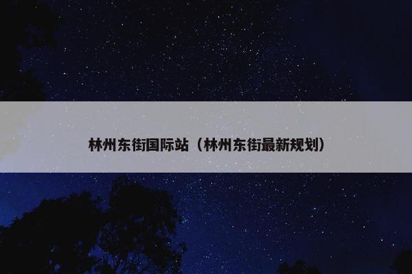 林州东街国际站（林州东街最新规划）