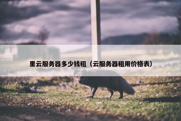 里云服务器多少钱租（云服务器租用价格表）