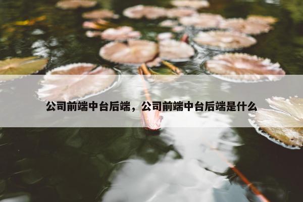 公司前端中台后端，公司前端中台后端是什么