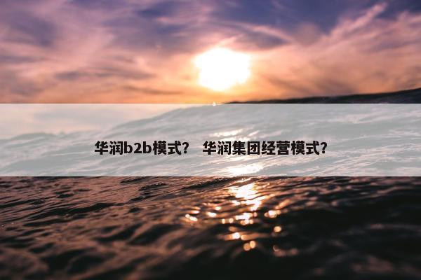 华润b2b模式？ 华润集团经营模式？