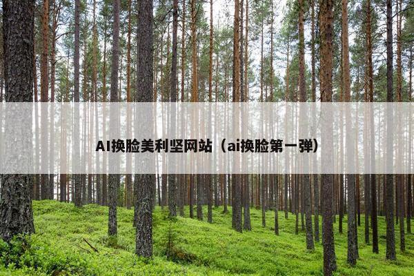 AI换脸美利坚网站（ai换脸第一弹）