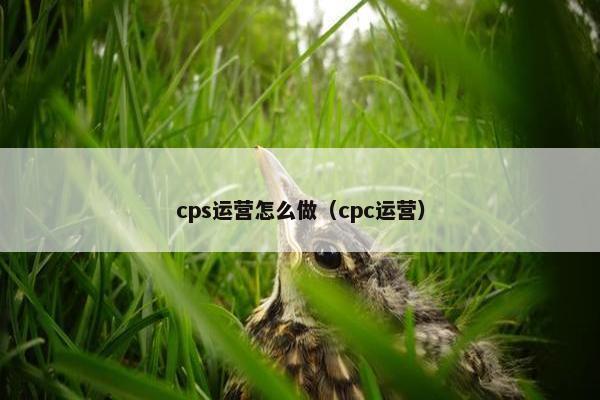 cps运营怎么做（cpc运营）