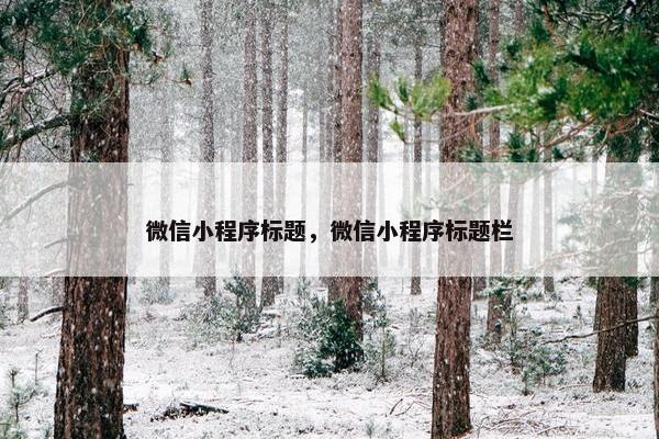 微信小程序标题，微信小程序标题栏
