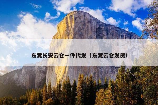 东莞长安云仓一件代发（东莞云仓发货）