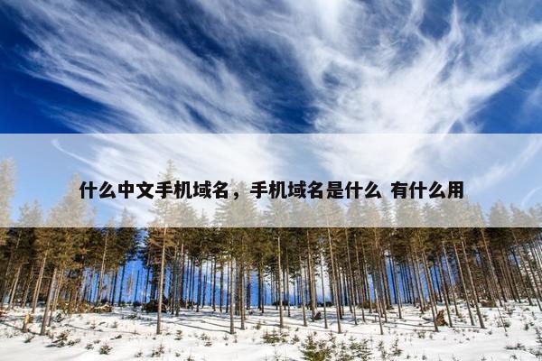 什么中文手机域名，手机域名是什么 有什么用