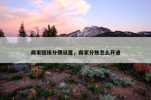 商家链接分佣设置，商家分账怎么开通