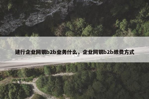 建行企业网银b2b业务什么，企业网银b2b缴费方式