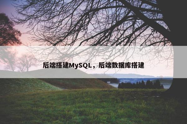 后端搭建MySQL，后端数据库搭建
