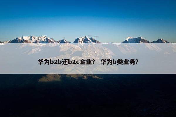 华为b2b还b2c企业？ 华为b类业务？